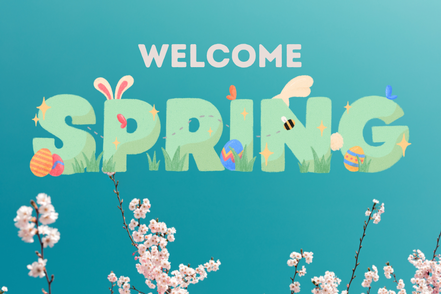 offerta-ponti-primavera-bb-cervia